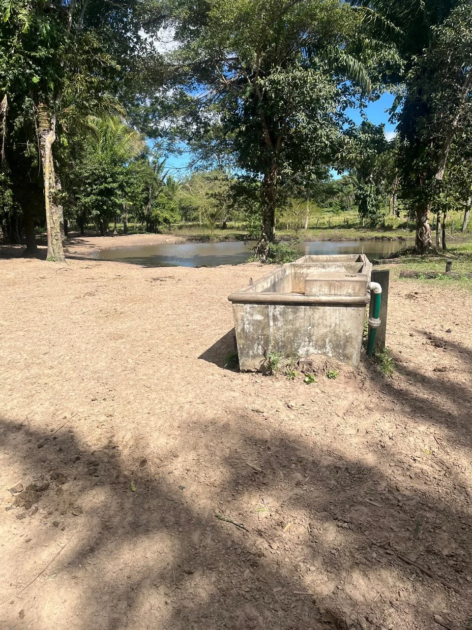 Foto 13 de En Venta | Propiedad Ganadera en Porongo