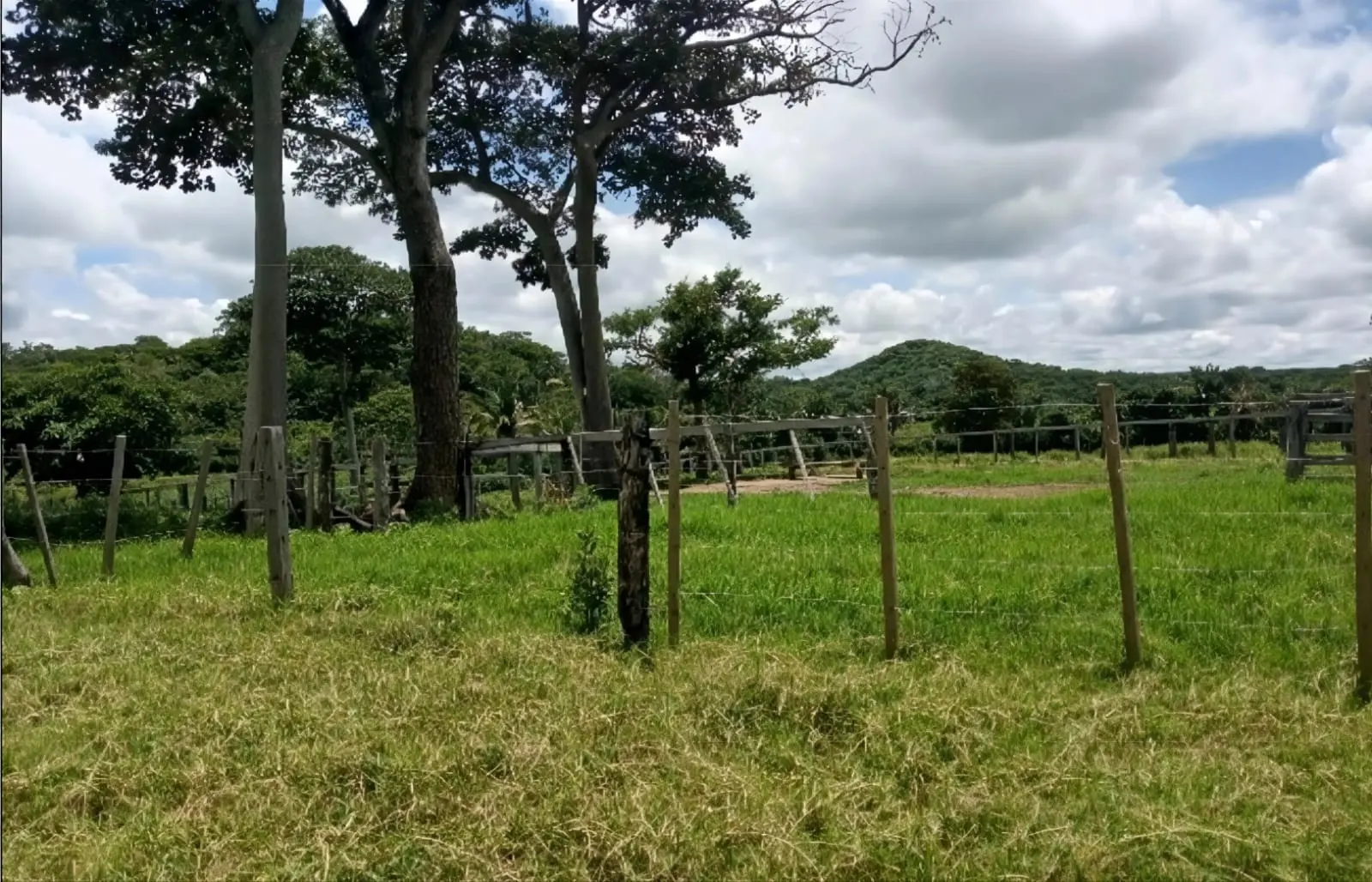 Foto 10 de En Venta | Propiedad Ganadera