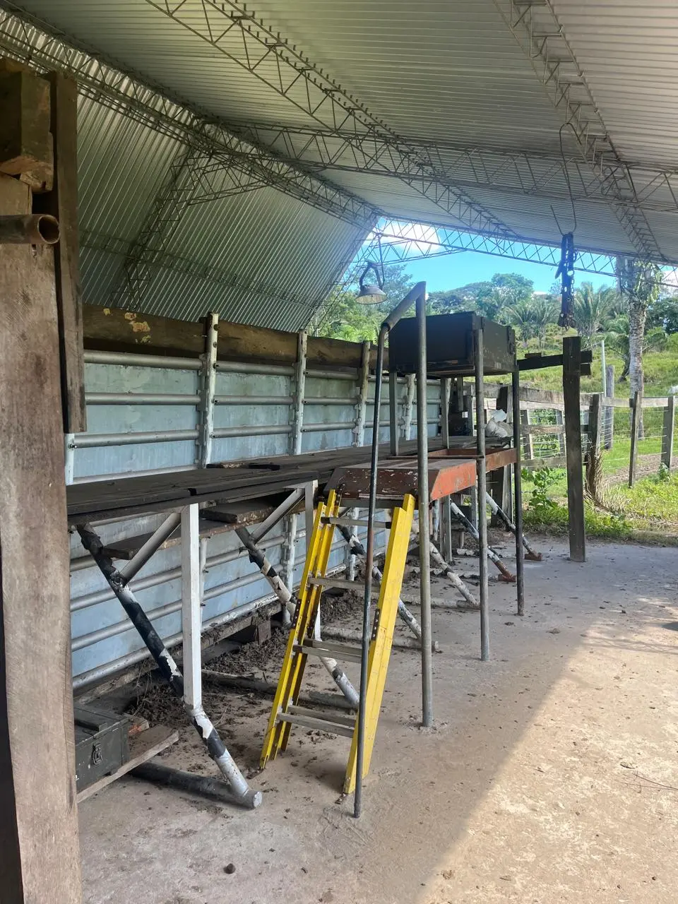 Foto 9 de En Venta | Propiedad Ganadera en Porongo