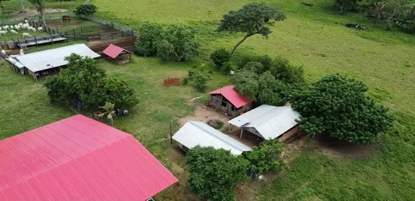 Foto 6 de En Venta | Propiedad Ganadera
