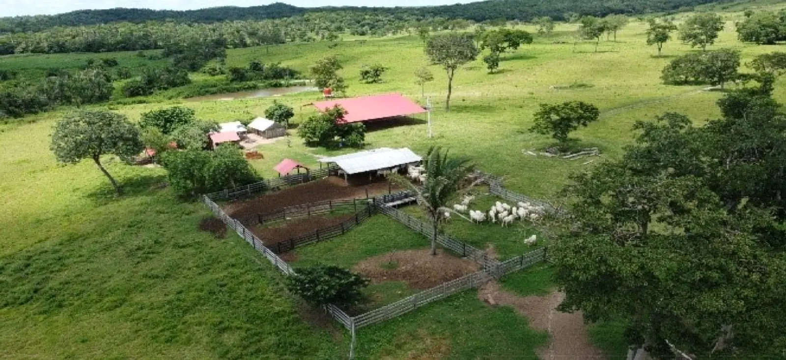 Foto 19 de En Venta | Propiedad Ganadera