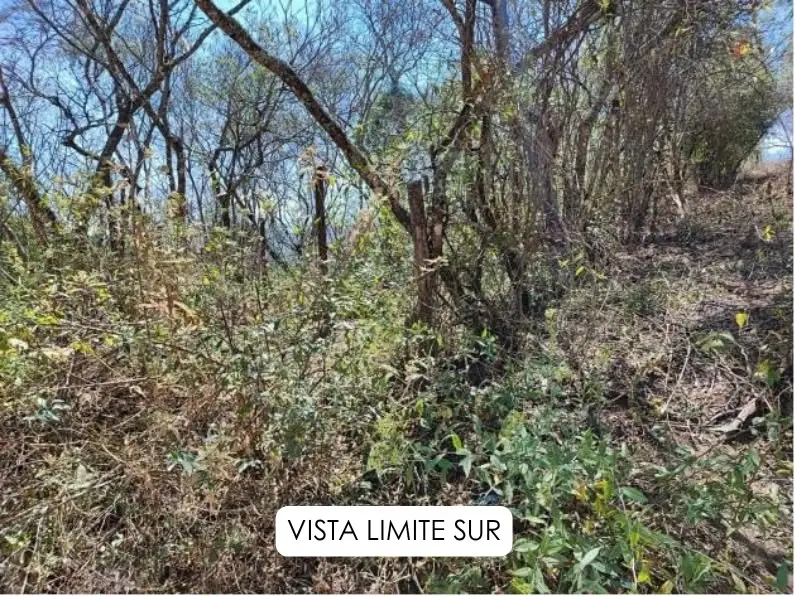 Foto 8 de Terreno en Venta en Samaipata con Preciosas Vistas